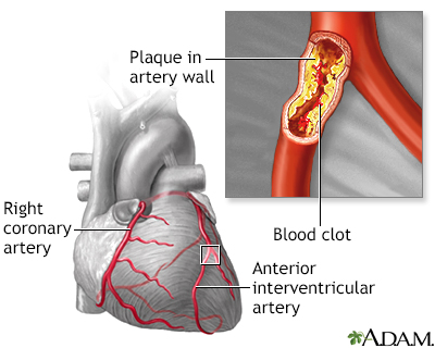 blood vessels arteries. of the small lood vessels